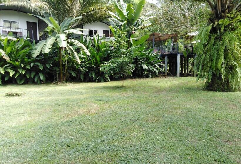 Отель Khaosok River Camp