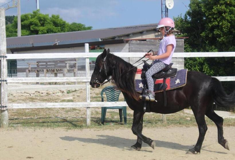 Hotel wiejski Agriturismo Castello