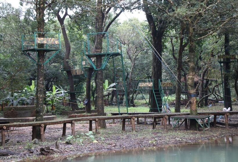 호텔 Shangri La Jungle Resort