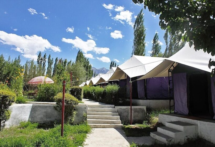 בית מלון כפרי Tiger Camp