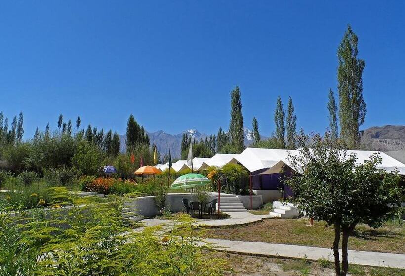 בית מלון כפרי Tiger Camp