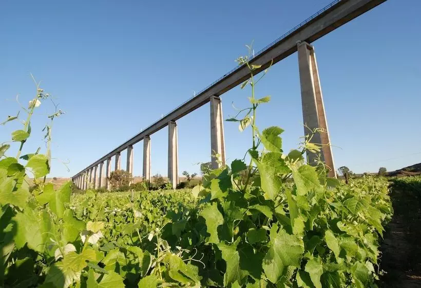 Majatalo Melkboomsdrift Guest House & Conference Centre