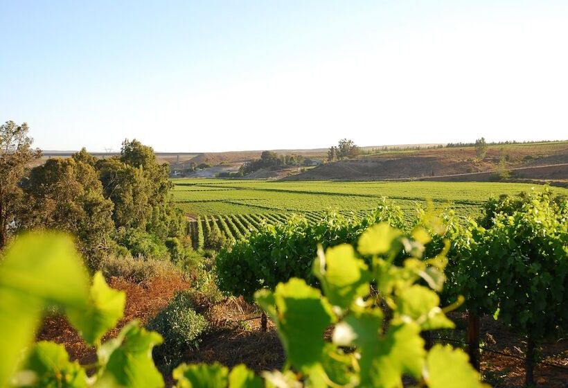 펜션 Melkboomsdrift Guest House & Conference Centre