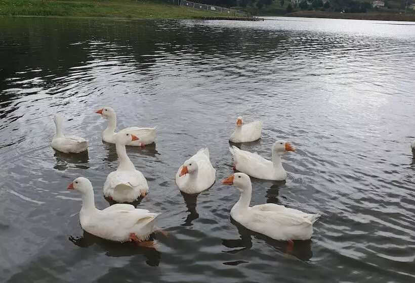 Yildiz Tepe Otel & Pansiyon