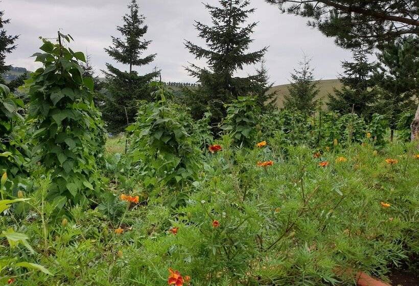 Yildiz Tepe Otel & Pansiyon