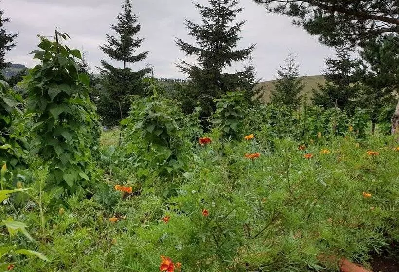 Yildiz Tepe Otel & Pansiyon