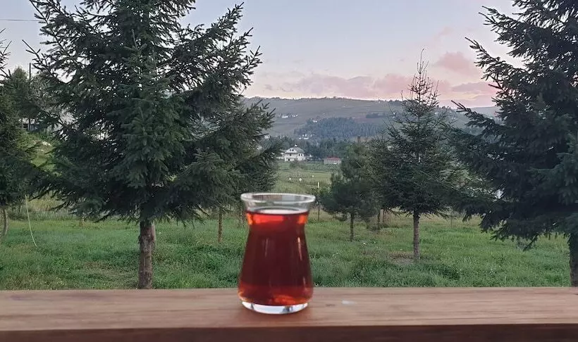 Yildiz Tepe Otel & Pansiyon