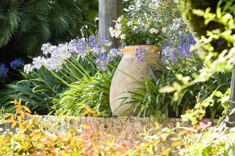 Hotel Bastide Saint Antoine Relais & Chateaux