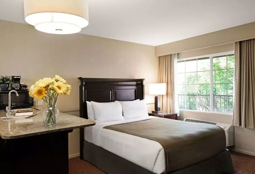 Best Western Corona Hotel & Suites