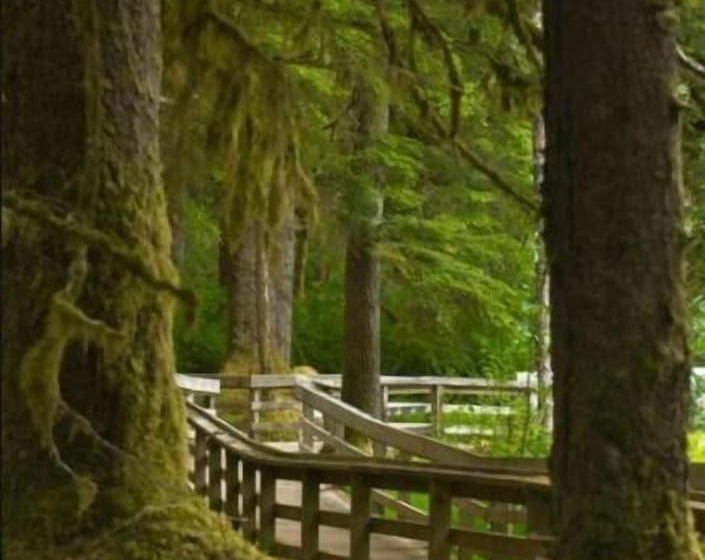Otel Glacier Bay Lodge