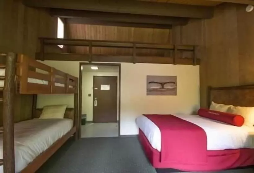酒店 Glacier Bay Lodge