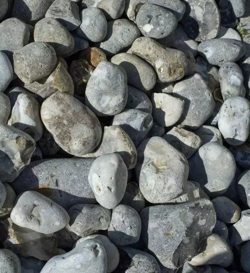 호텔 Le Fort De L'océan