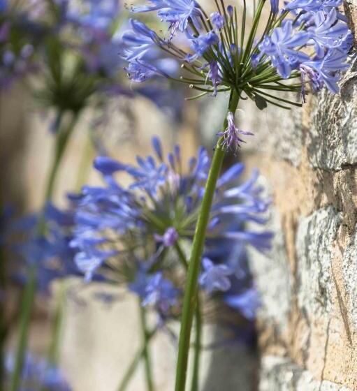 هتل Le Fort De L'océan