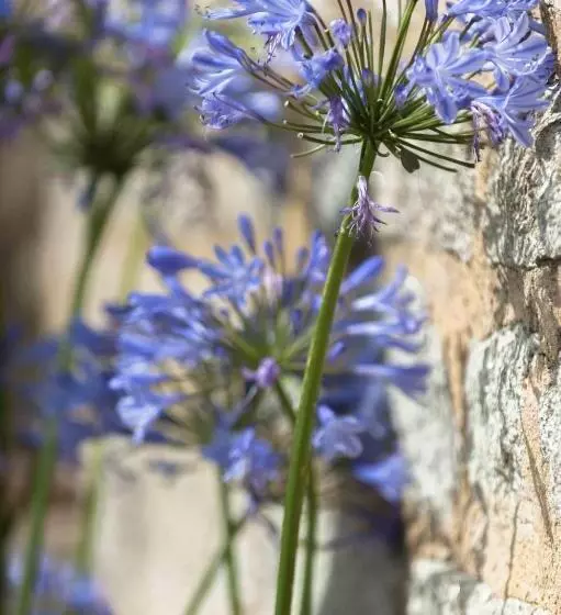 호텔 Le Fort De L'océan