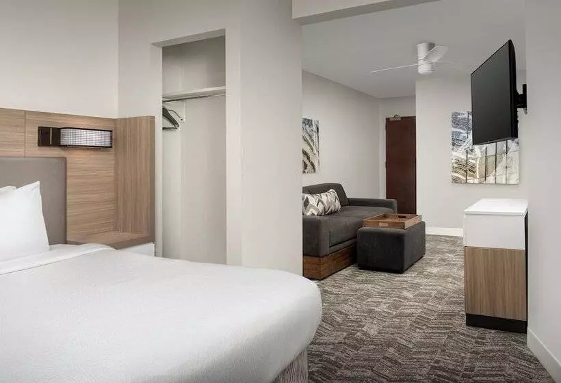 Отель Springhill Suites By Marriott Atlanta Buford/mall Of Georgia