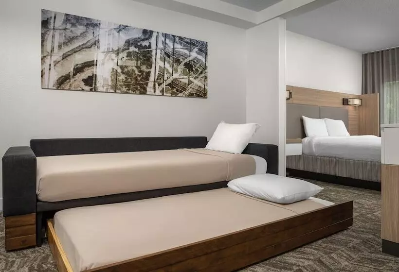 Отель Springhill Suites By Marriott Atlanta Buford/mall Of Georgia