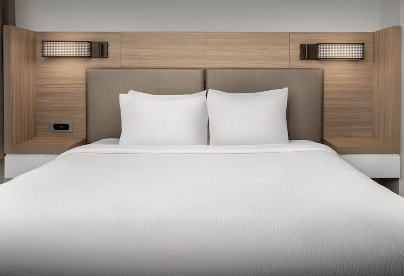 فندق Springhill Suites By Marriott Atlanta Buford/mall Of Georgia