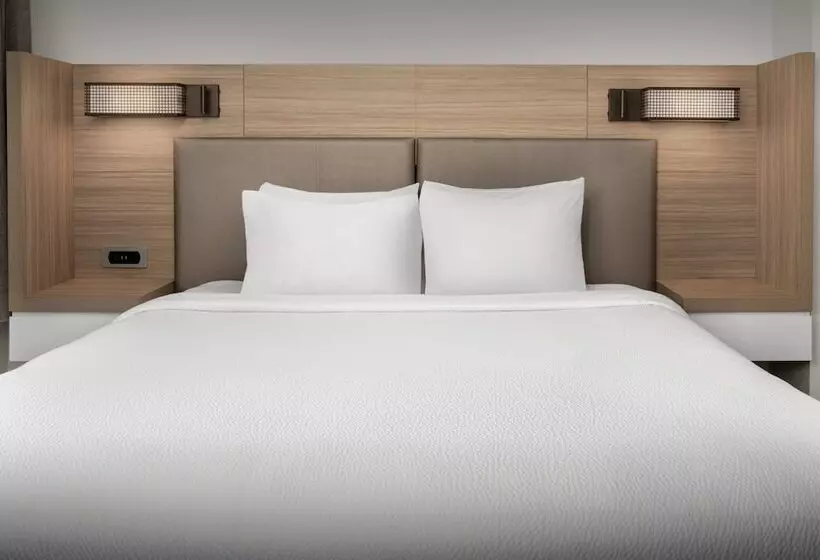 Отель Springhill Suites By Marriott Atlanta Buford/mall Of Georgia