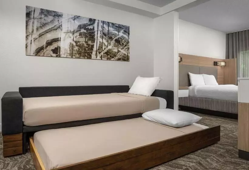 Отель Springhill Suites By Marriott Atlanta Buford/mall Of Georgia