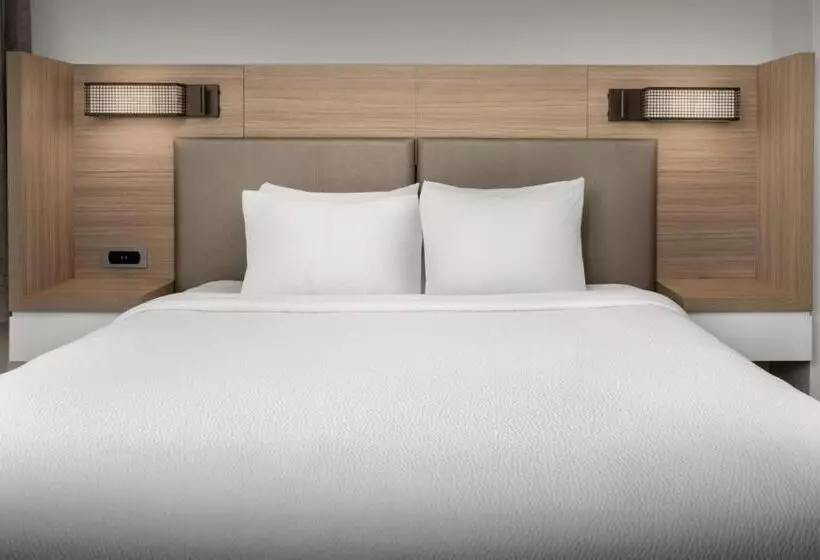 Отель Springhill Suites By Marriott Atlanta Buford/mall Of Georgia