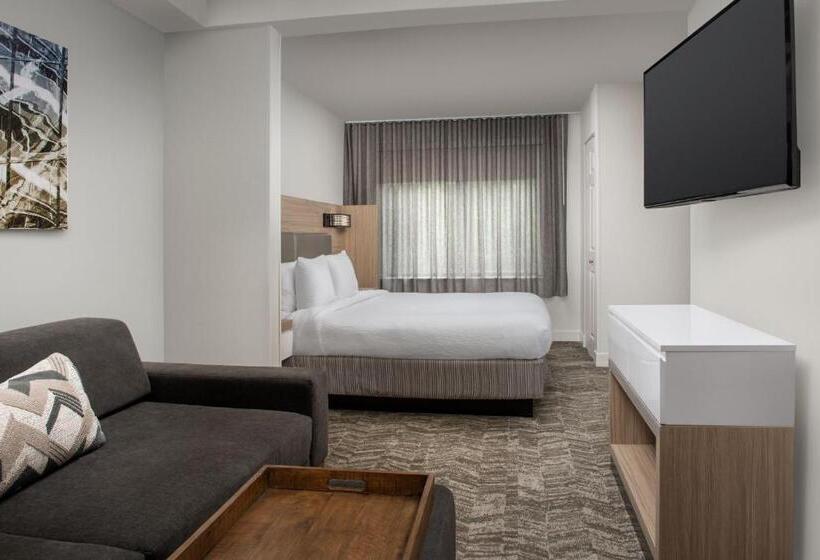 فندق Springhill Suites By Marriott Atlanta Buford/mall Of Georgia