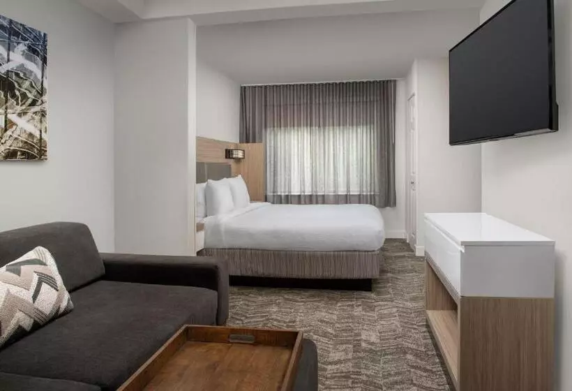 Отель Springhill Suites By Marriott Atlanta Buford/mall Of Georgia