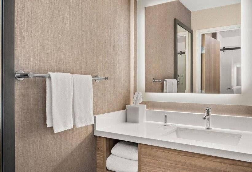 בית מלון כפרי Springhill Suites By Marriott Chicago Bolingbrook