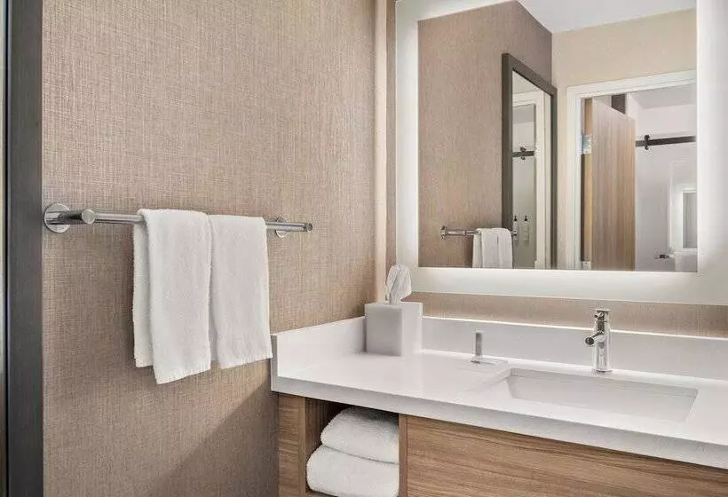 酒店 Springhill Suites By Marriott Chicago Bolingbrook