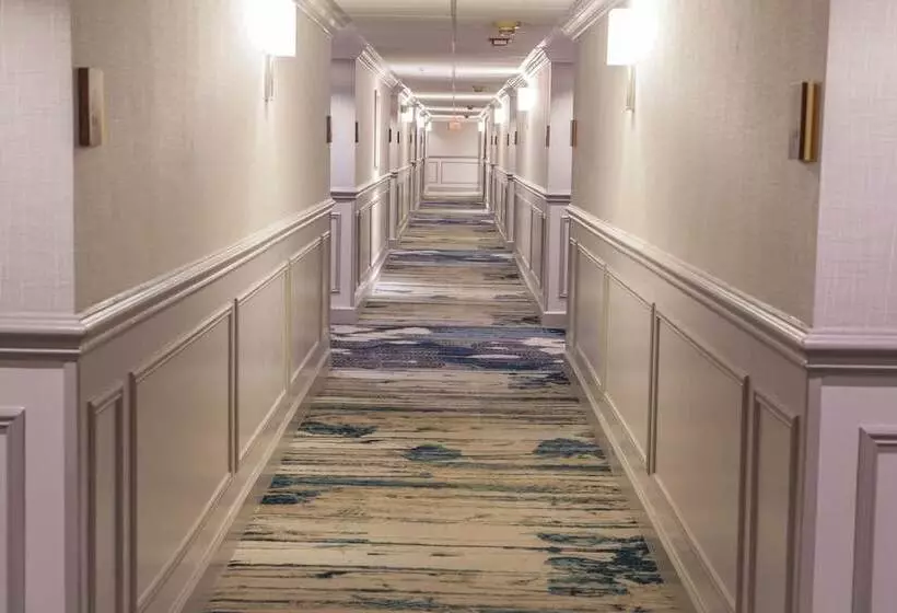 Отель The Kensington