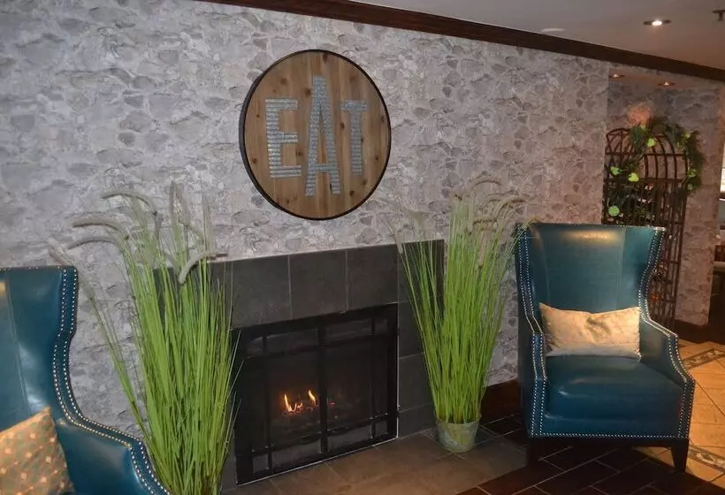 Отель The Kensington