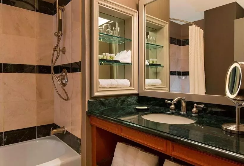 Hotel The Westin Houston Downtown