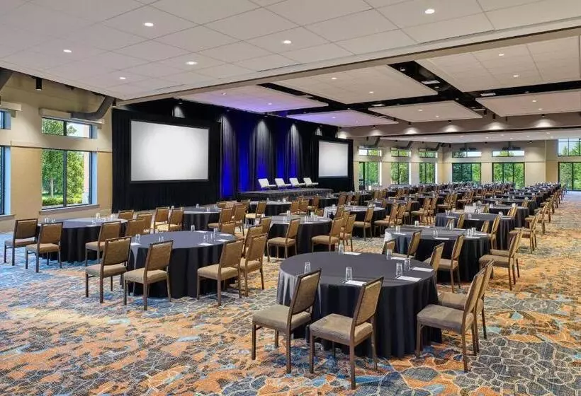 Отель The Westin Westminster