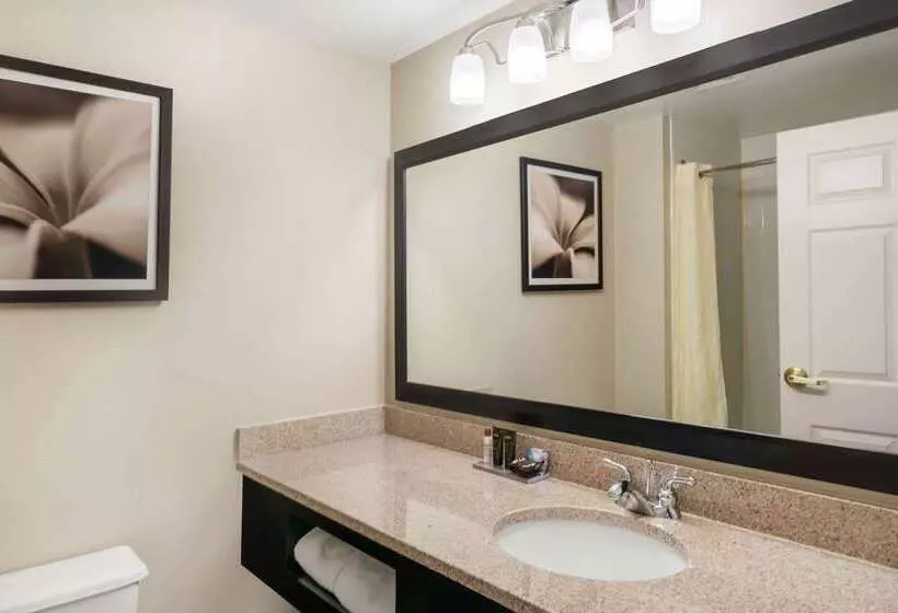 Hotel Wingate By Wyndham