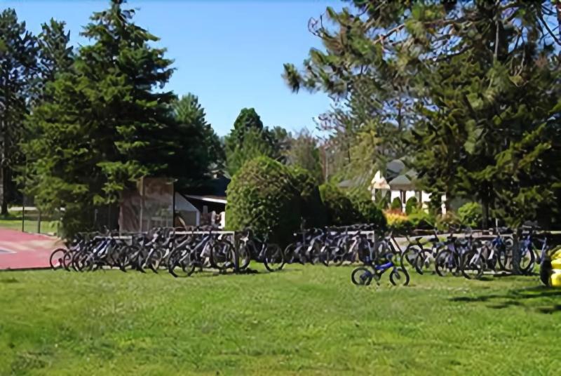 Stowe Motel & Snowdrift