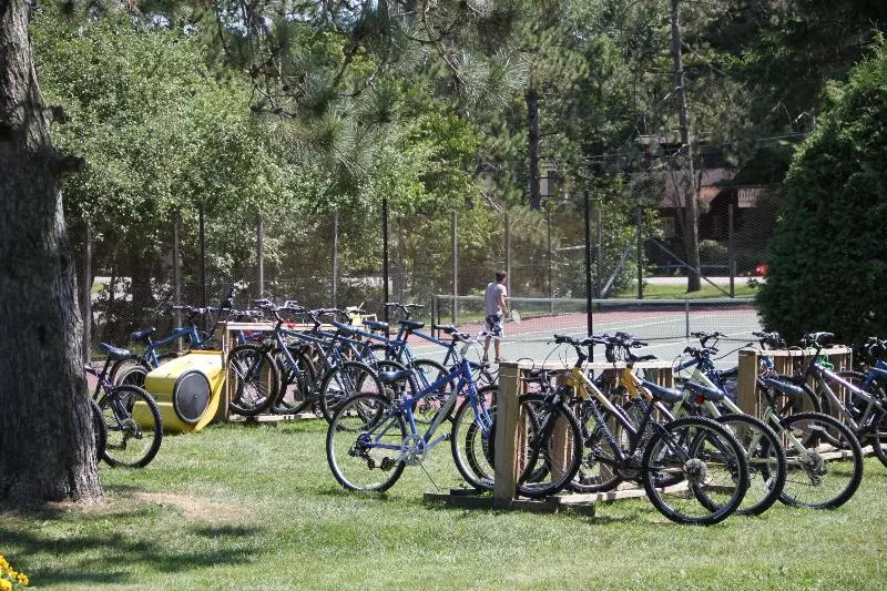 Stowe Motel & Snowdrift