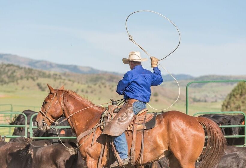 Bed and Breakfast Wilson Ranches Retreat