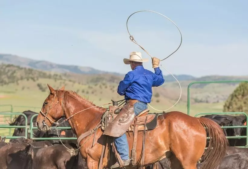 Aamiaismajoitus (B&B) Wilson Ranches Retreat