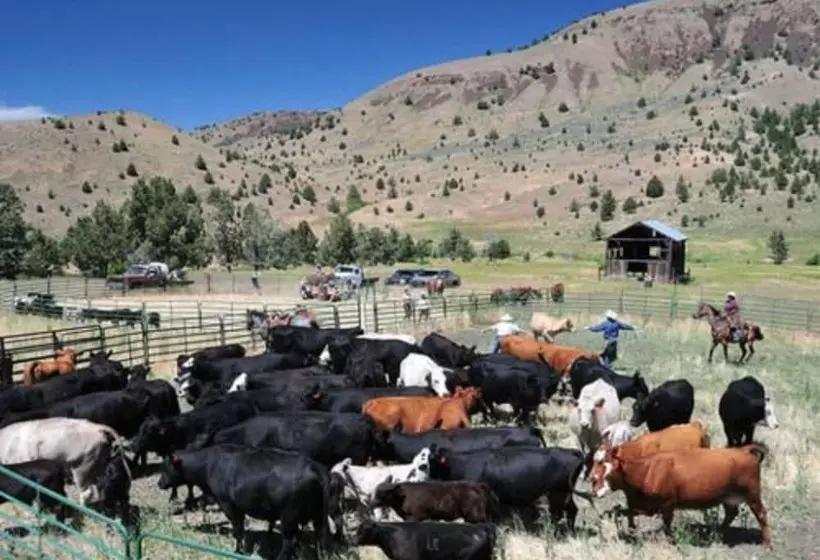 Aamiaismajoitus (B&B) Wilson Ranches Retreat