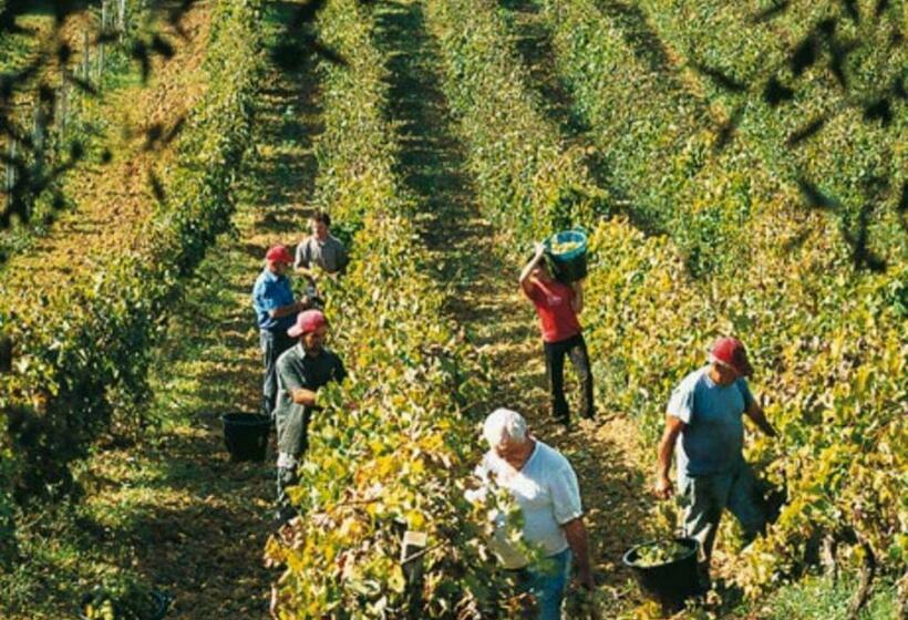 בית מלון כפרי Tenuta Del Re The King Ss