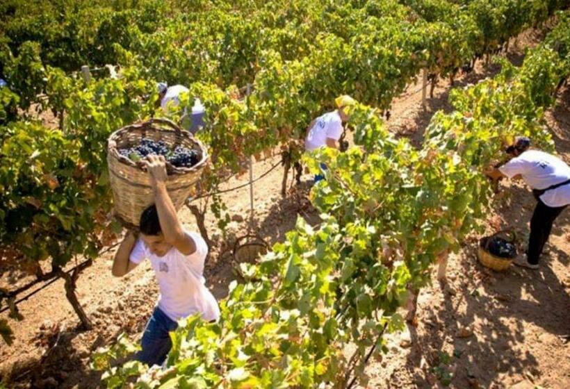 בית מלון כפרי Tenuta Del Re The King Ss