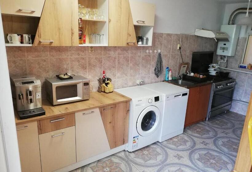 Пансион Casa Bucur