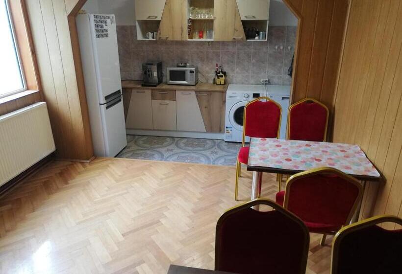 Пансион Casa Bucur