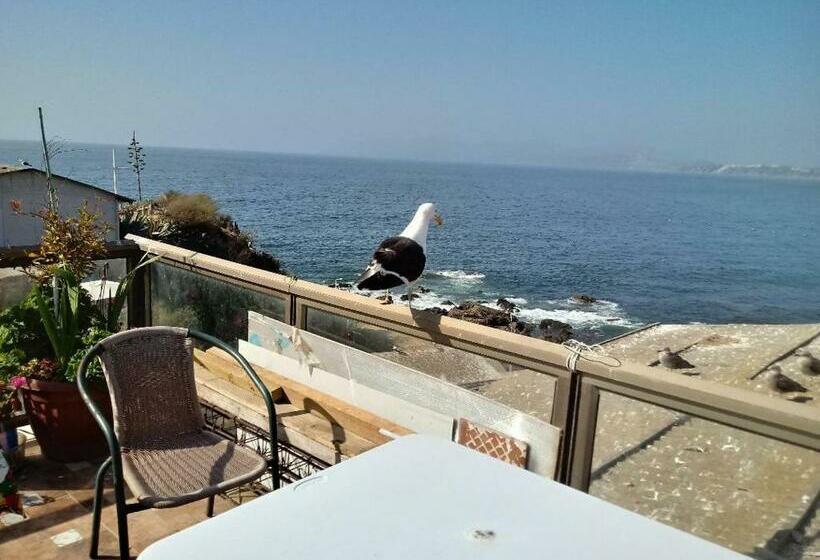 Pension Habitaciones Gabriel