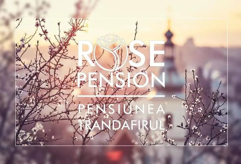 Aamiaismajoitus (B&B) Pension Rose Trandafirul