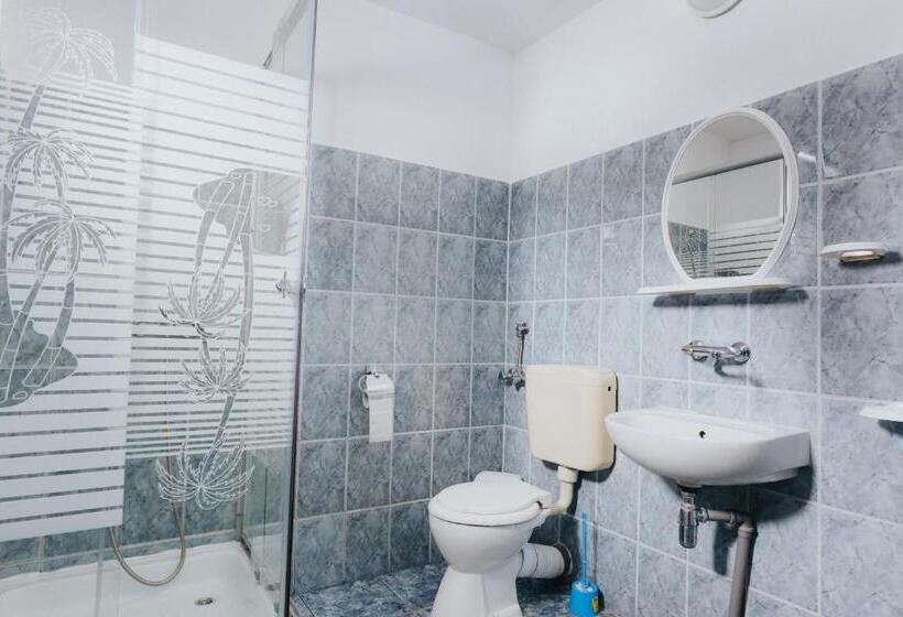 مبيت وإفطار Pension Rose Trandafirul