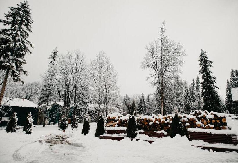 مبيت وإفطار Pension Rose Trandafirul