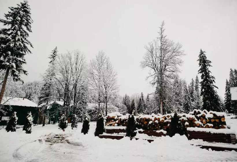 Aamiaismajoitus (B&B) Pension Rose Trandafirul