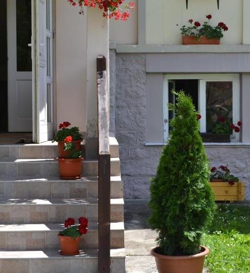 مبيت وإفطار Pension Rose Trandafirul