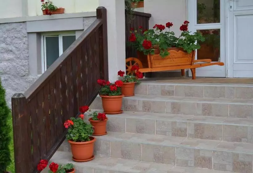 Aamiaismajoitus (B&B) Pension Rose Trandafirul