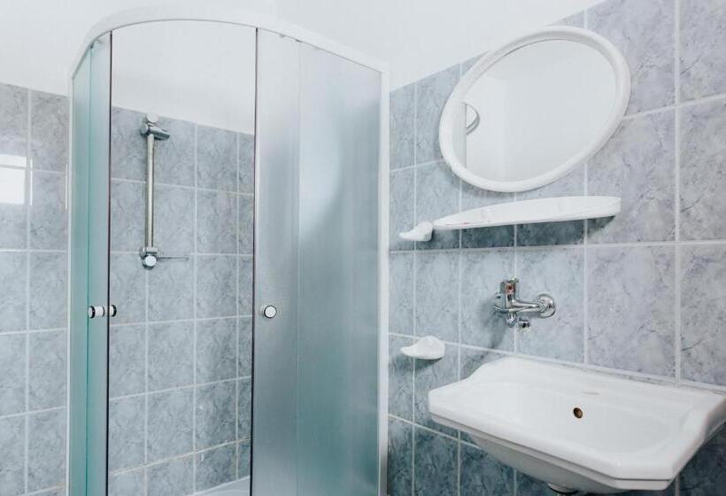 مبيت وإفطار Pension Rose Trandafirul